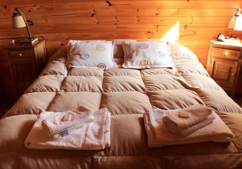Rotui Apart Hotel San Martín de los Andes Eksteriør billede