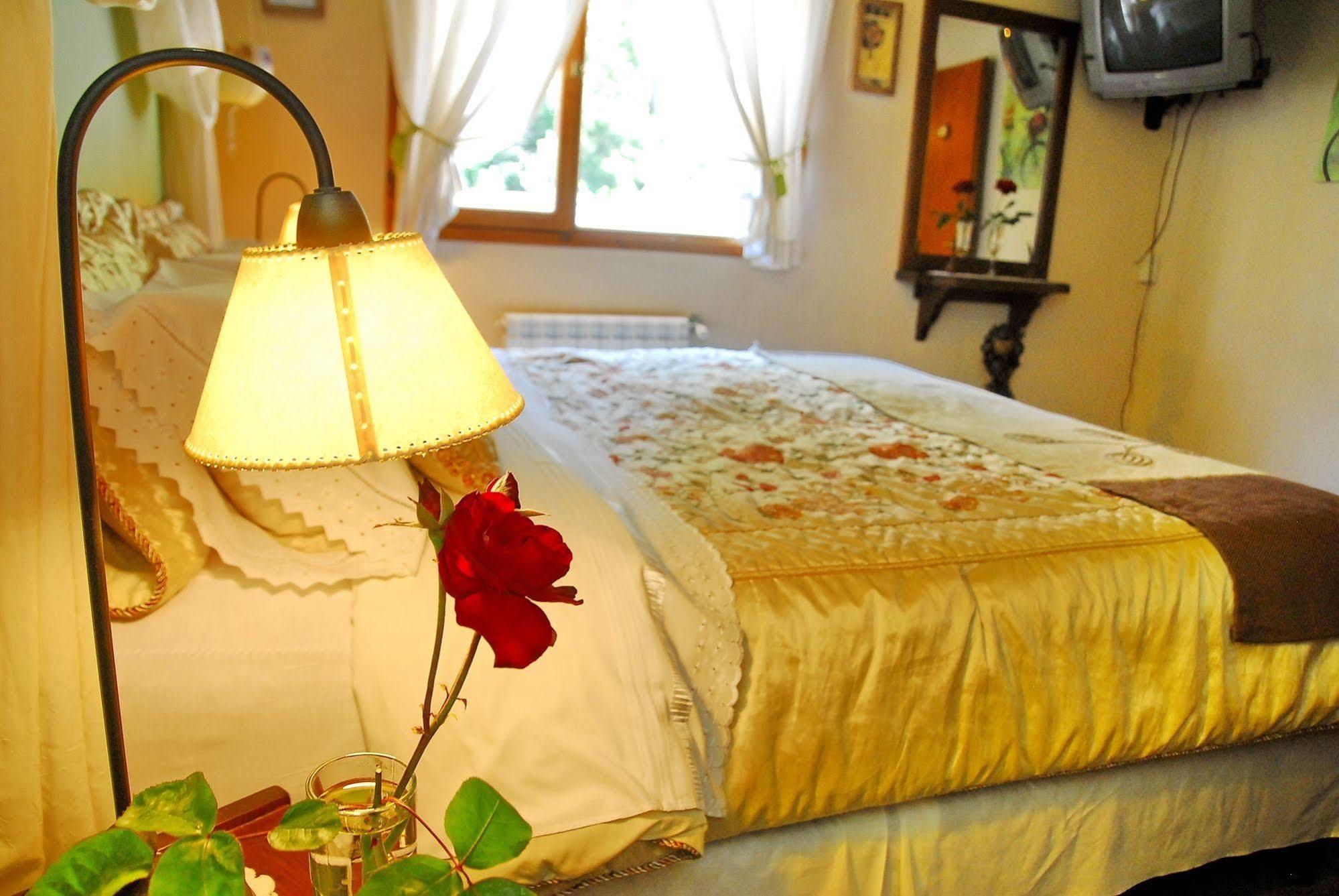 Rotui Apart Hotel San Martín de los Andes Eksteriør billede